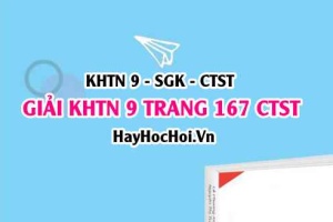 Giải KHTN 9 trang 167 Chân trời sáng tạo SGK